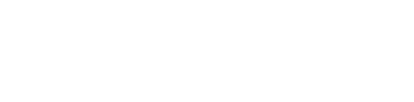 Vincenzo Vinciullo Logo